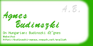 agnes budinszki business card